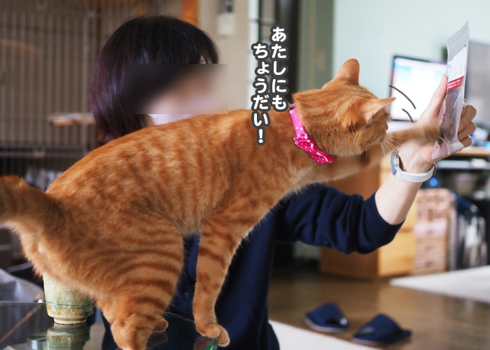 26日ブログ７