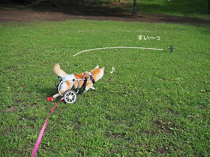 9日ブログ７