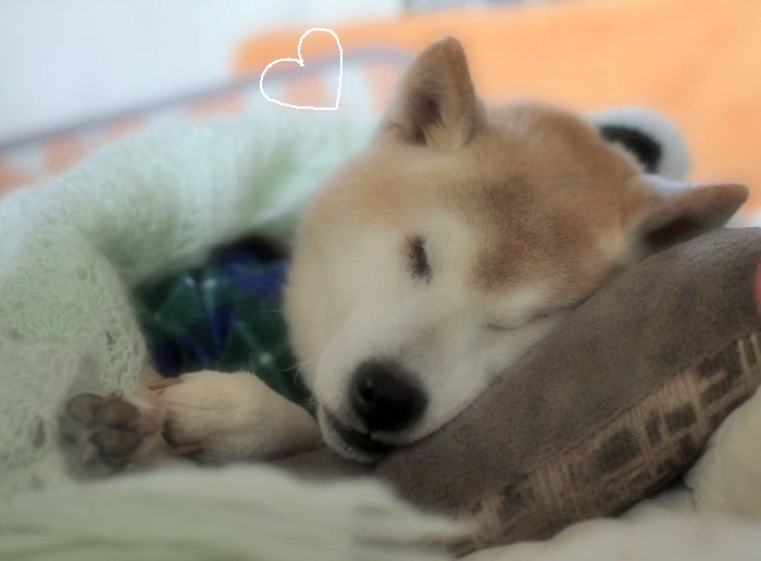 18日夕ブログ9
