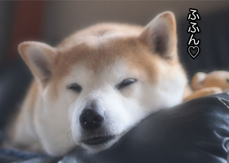 18日ブログ１1.jpg