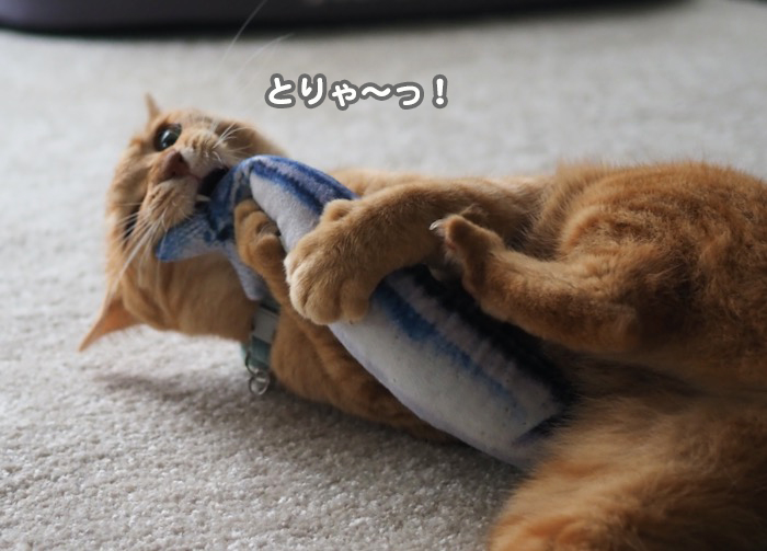 3日夕ブログ１０
