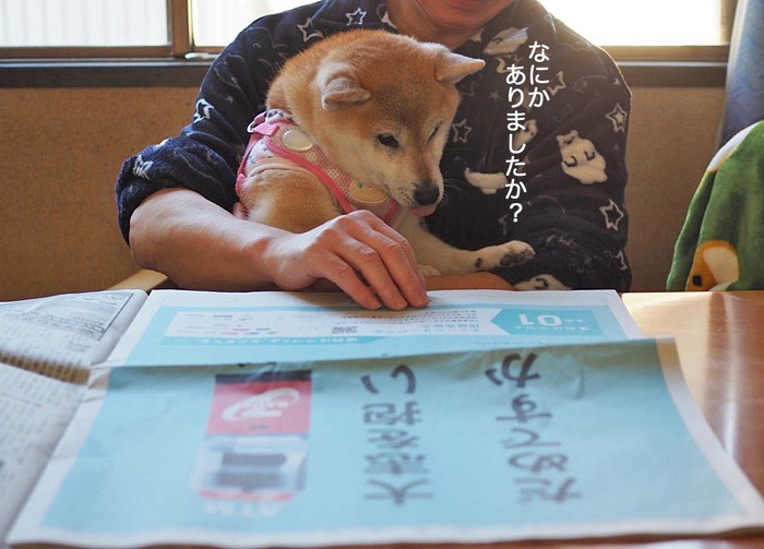 18日夜ブログ2