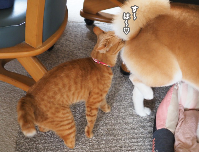 8日夕ブログ４