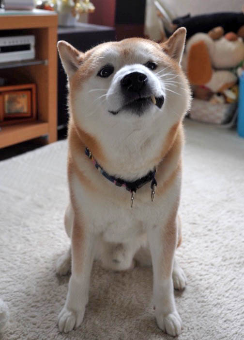 31日ブログ４