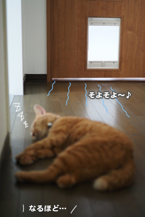 21日夕ブログ６