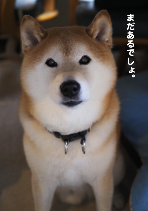 19日ブログ３