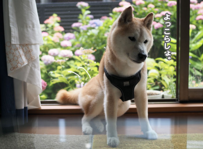 11日ブログ１
