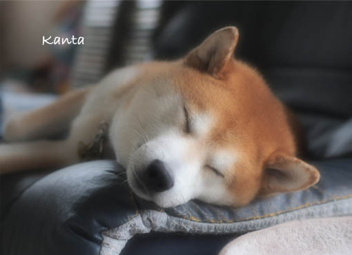 3日ブログ2.jpg