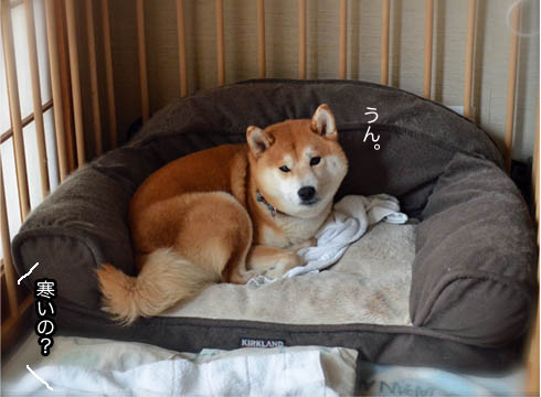 25日ブログ8.jpg