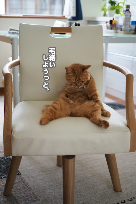 14日夕ブログ２