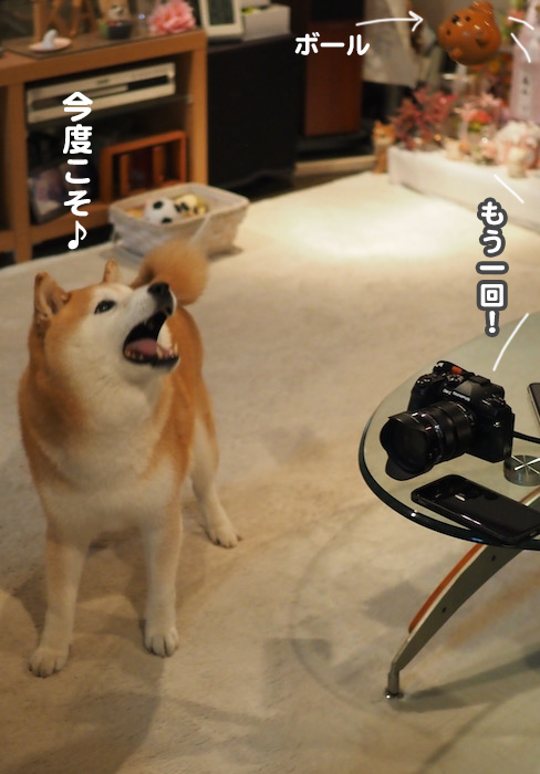 4日夜ブロ１３
