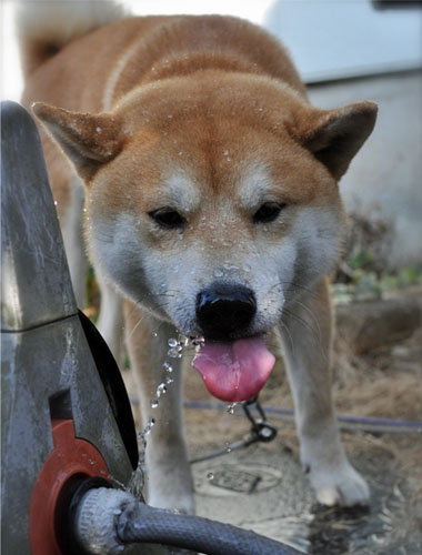 28日ブログ10.jpg