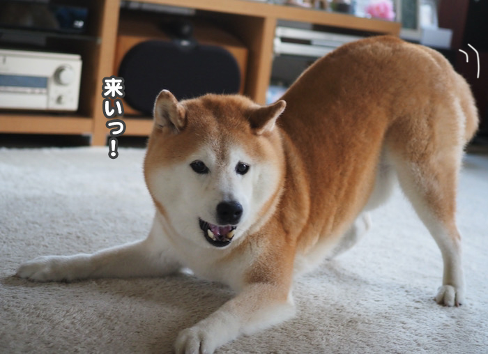 9日夜ブログ３