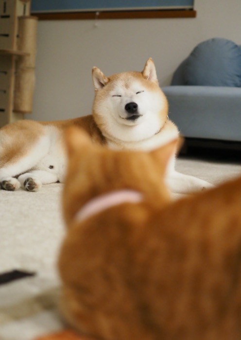 14日ブログ１