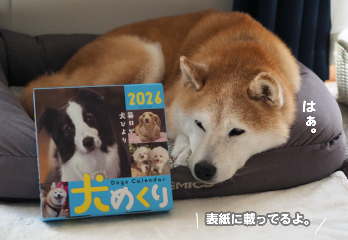 12日夕ブログ７