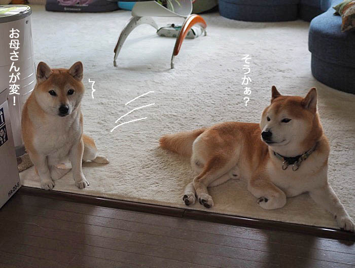 2日ブログ５