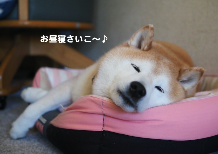 4日夕ブログ３