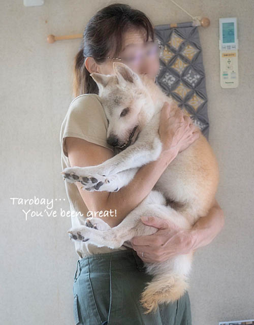 24日ブログ2