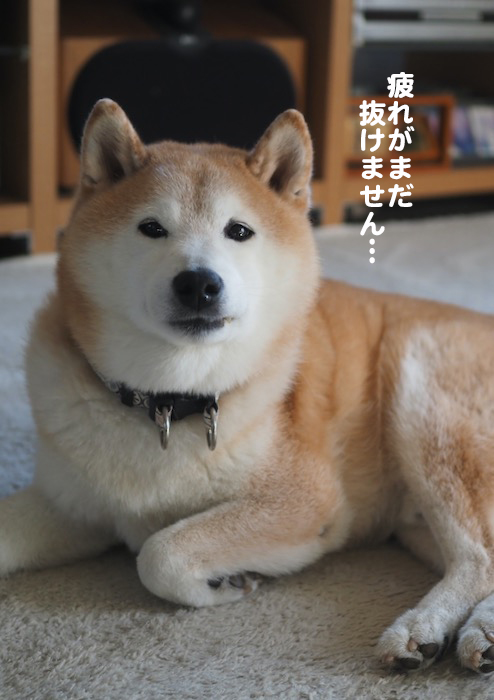 16日ブログ１