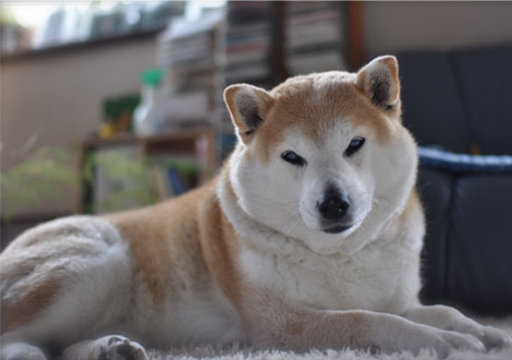 24日ブログ6.jpg