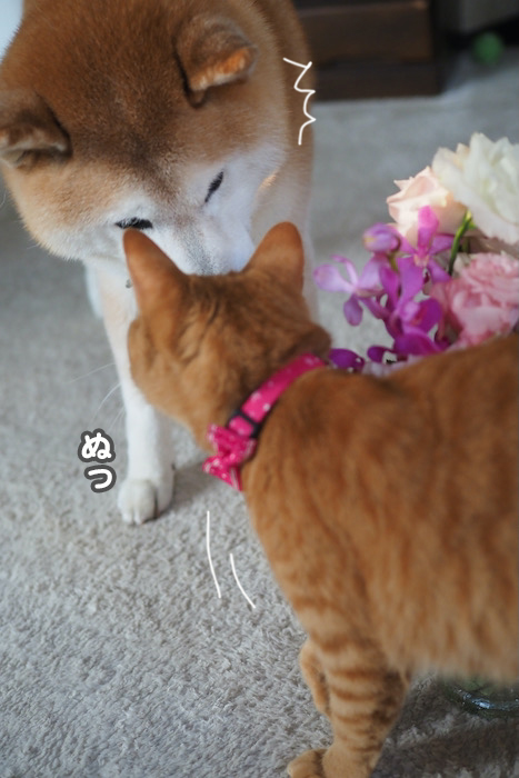 12日夕ブログ５
