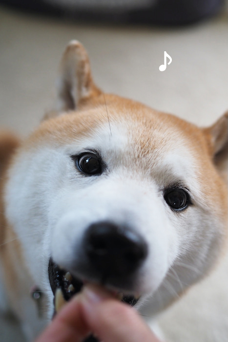 31日夕ブログ６