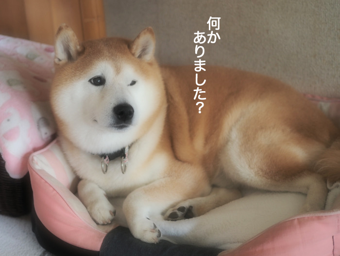 17日ブログ３