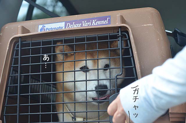 24日ブログ7