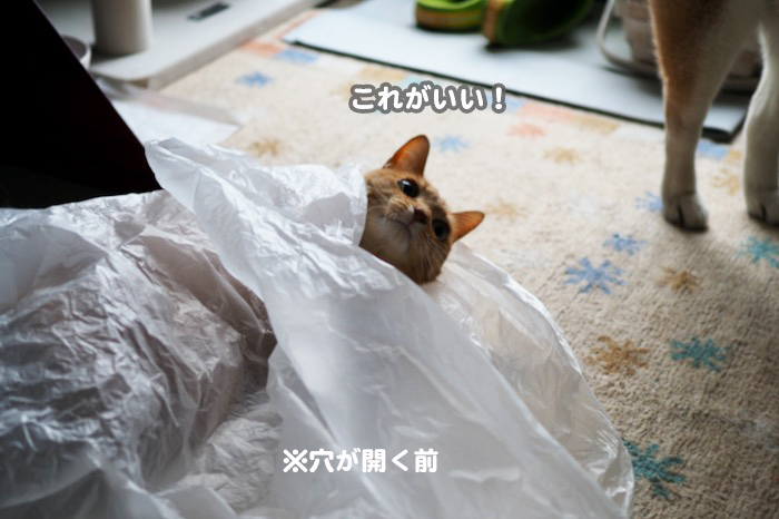 2日ブログ４