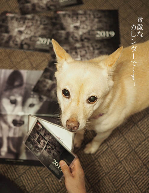 25日ブログ8
