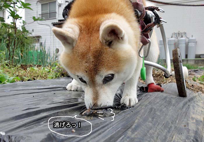 14日夜ブログ３