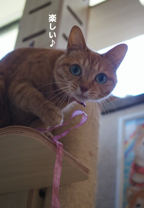 23日ブログ７