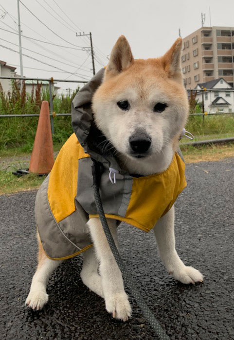 7日夕ブログ８