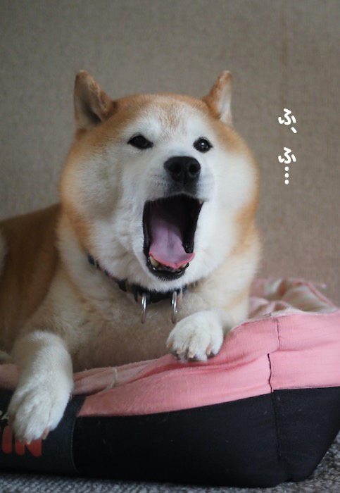 10日ブログ３