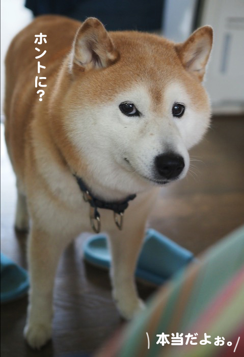 13日ブログ３