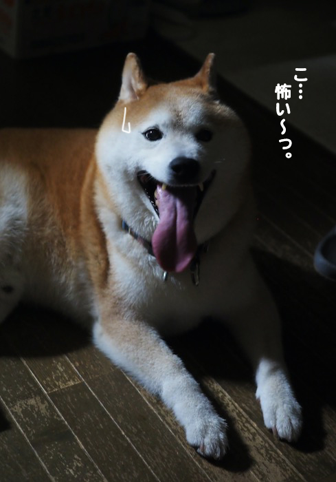 17日ブログ2