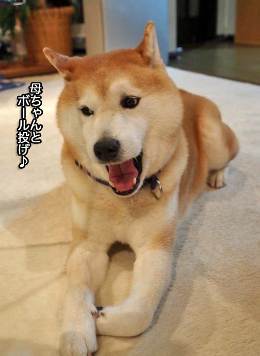 16日夜ブログ３