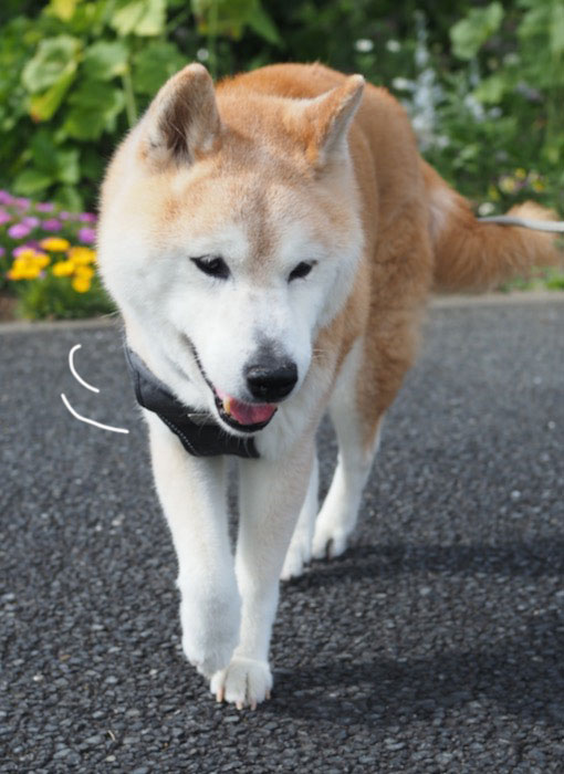 15日夕ブログ２