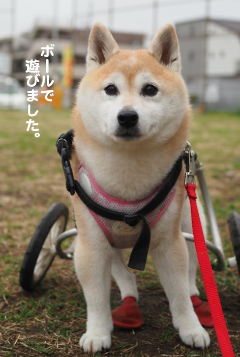 13日ブログ３