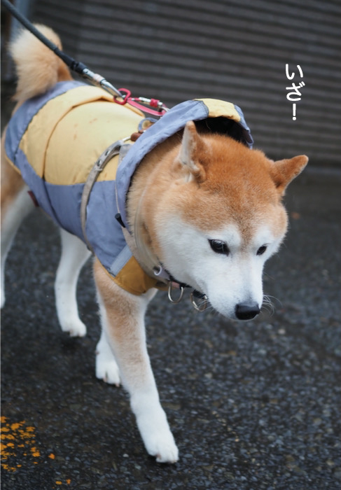 10日夜ブログ４