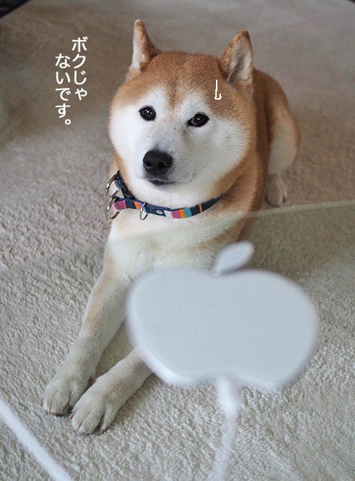 28日ブログ６
