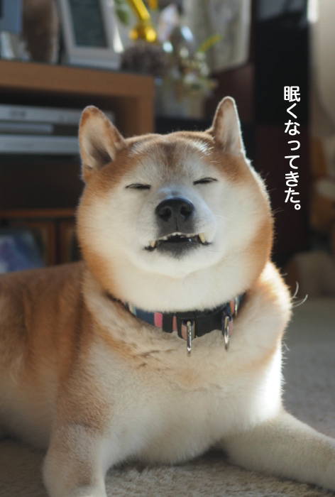 2日ブログ３