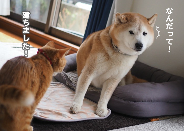 6日夕ブログ７