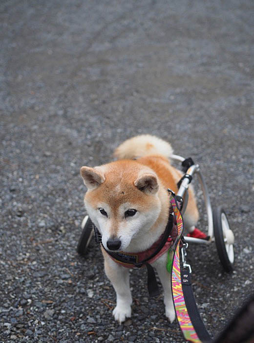 28日ブログ１