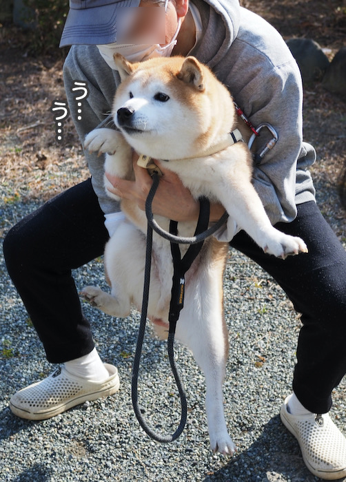 9日夕ブログ５