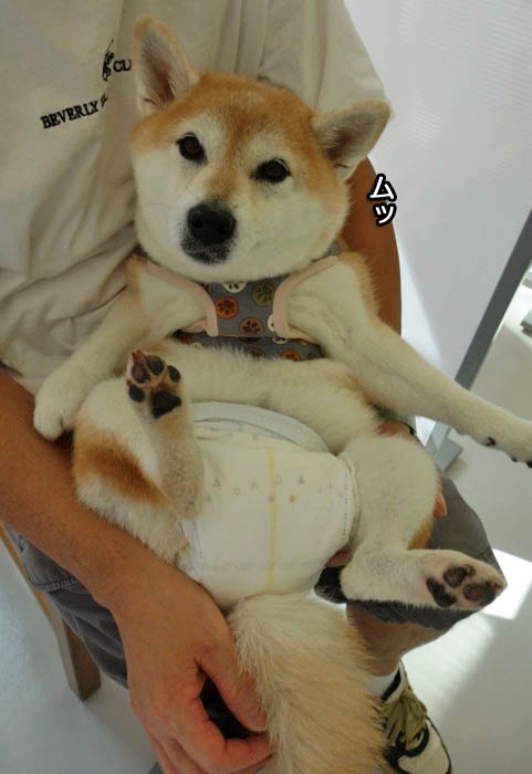 2日ブログ１