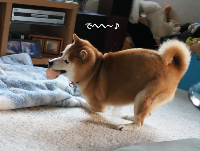 8日夜ブログ４