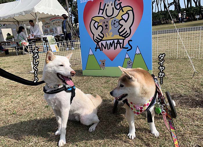 2日午後ブログ３