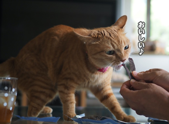 18日夕ブログ10