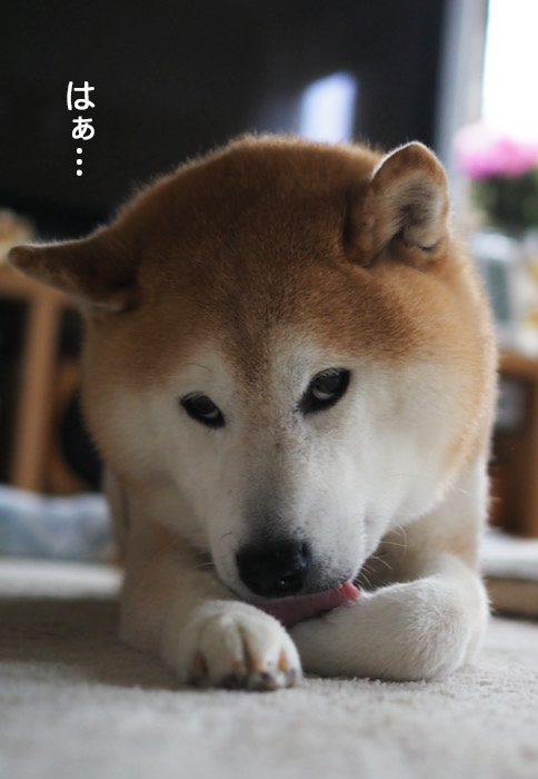 24日ブログ５